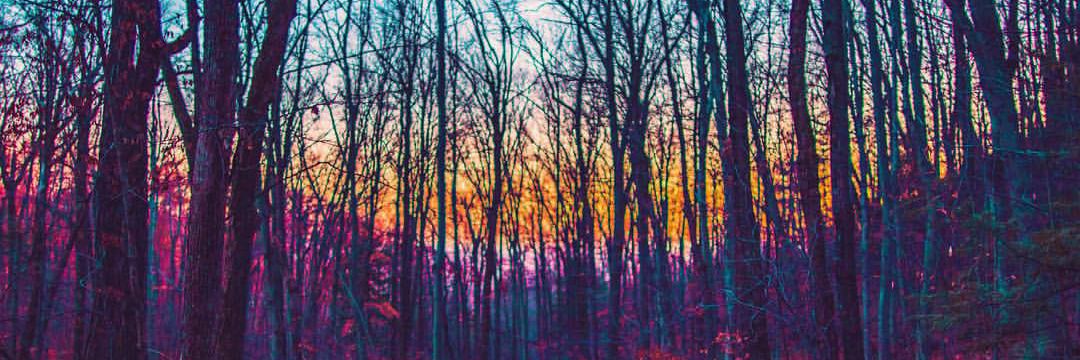 colton_joyner's profile banner image