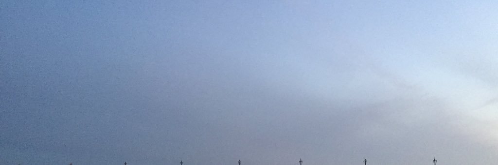 Alana McQueen banner