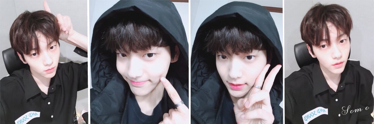 🐾Be Cute🐾 banner