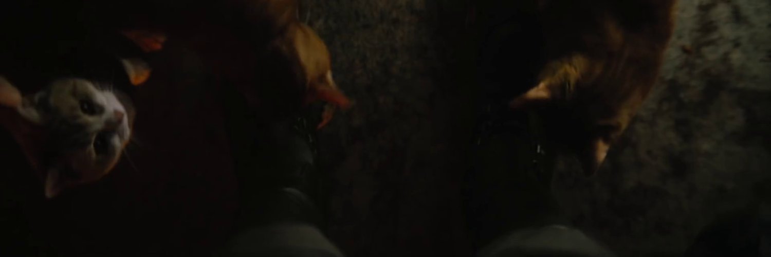 texugoAtroz's profile banner image