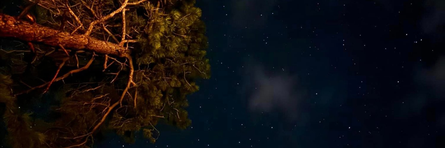 itsKnockturnowl's profile banner image