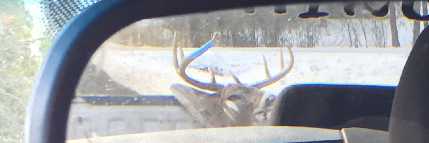 No_Macc's profile banner image