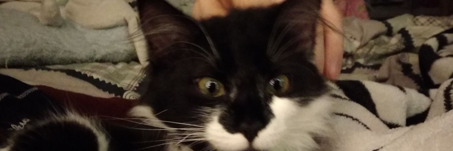 Sanidlo(✸,✸) banner