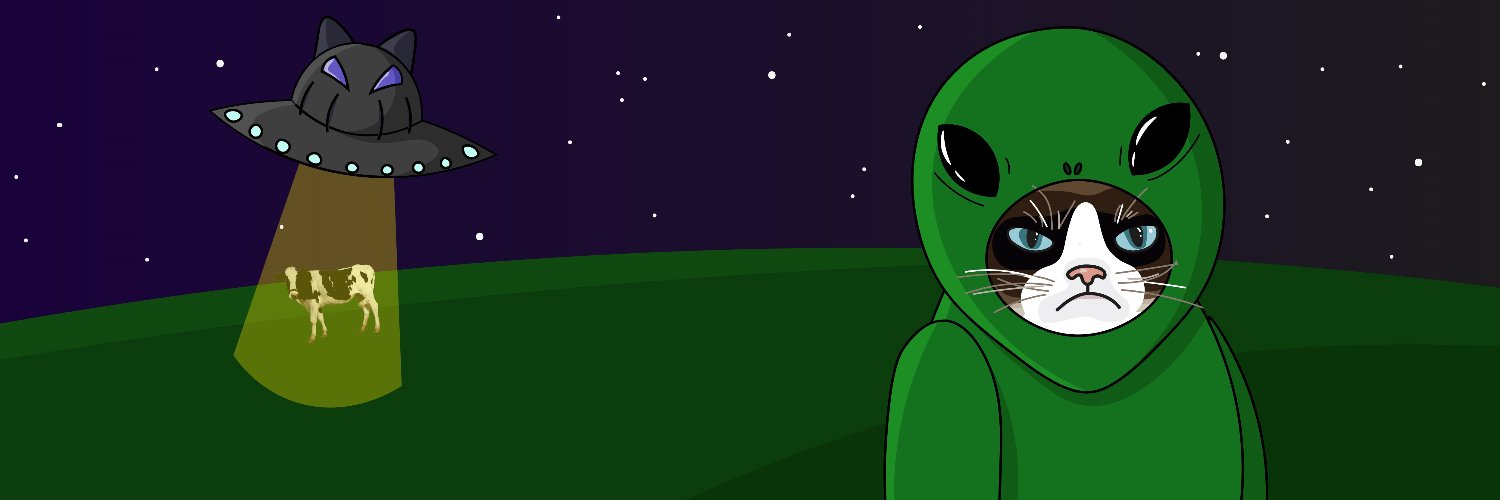 Irina Fran banner