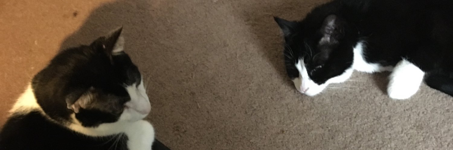 penguinm66's profile banner image