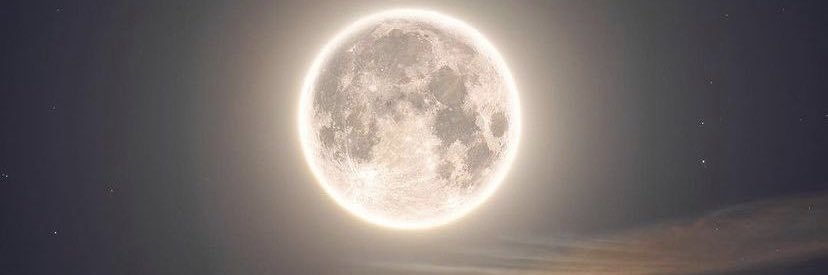 _laisbs's profile banner image