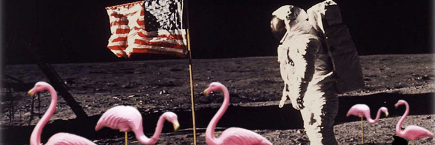 FlamingoPod's profile banner image