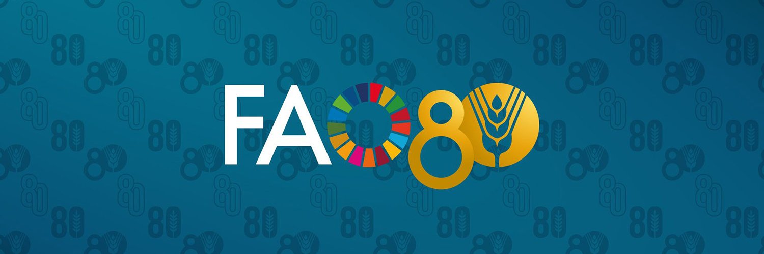 FAO in Afghanistan's banner