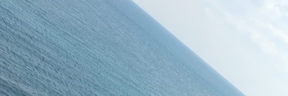 Seanefc91's profile banner image