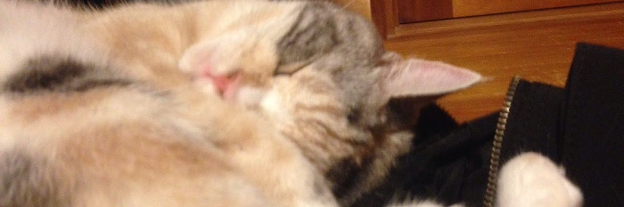 山口　凛夏 banner