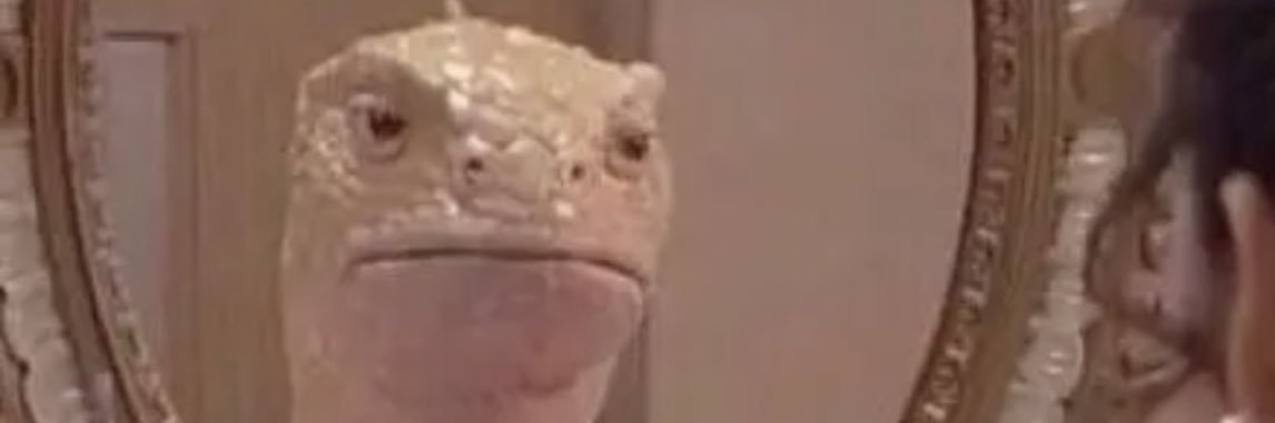 nfubbs's profile banner image