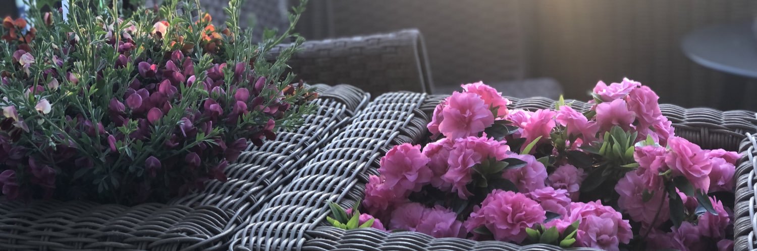 Zeeburgereiland Groen 🌱 #groenishoognodig 🌿 banner