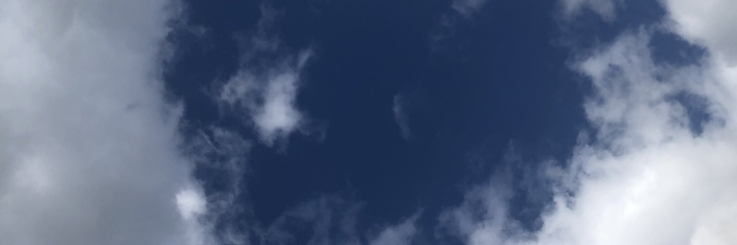 wozwarren's profile banner image