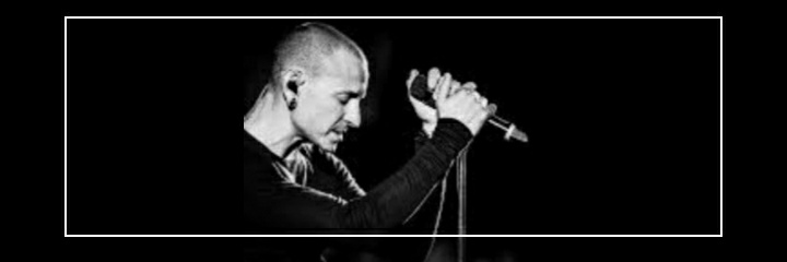 bpetitblanco's profile banner image