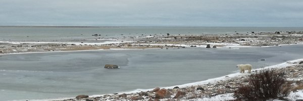 HenHammant Profile Banner