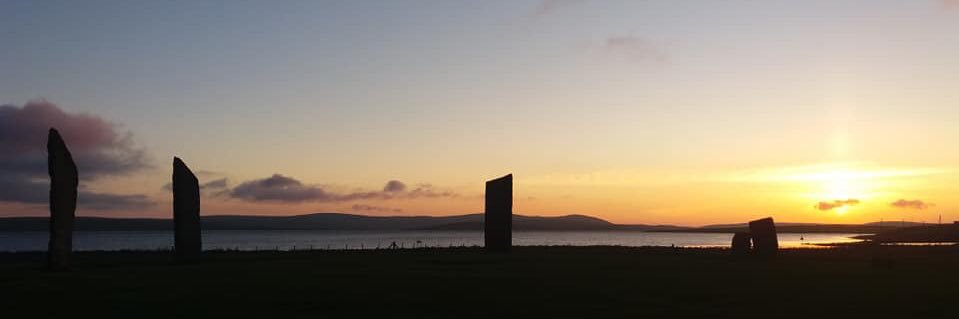 Maya Tams-Gray banner