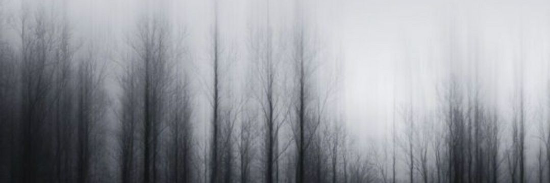 barkingbrowneye's profile banner image