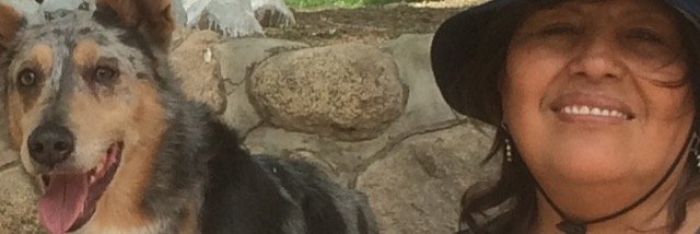 Vatoloco182's profile banner image
