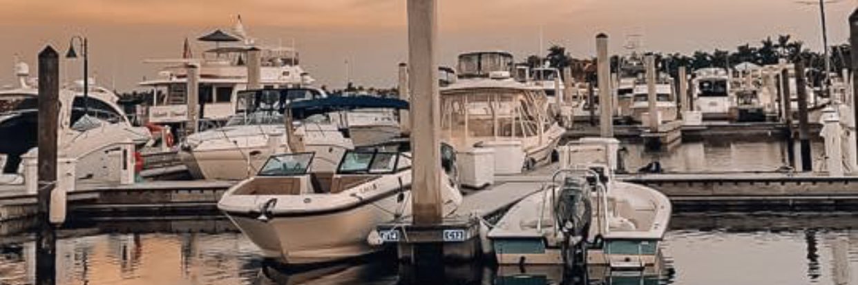 Bree19 🦋 banner