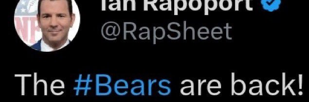 David Peters Jr🐻⬇️'s banner