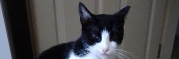 denizgltsry's profile banner image