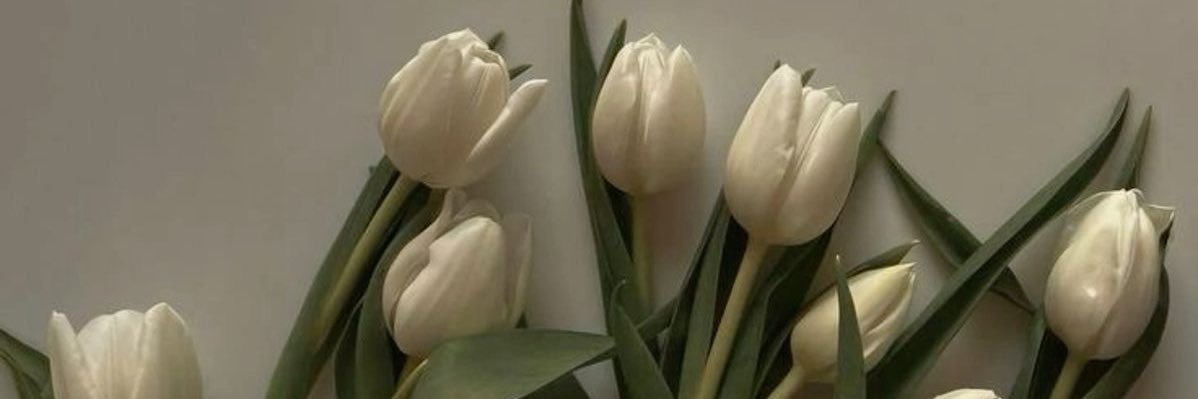 CaamiCara_'s profile banner image
