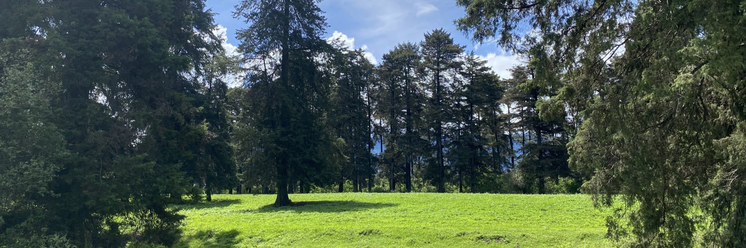 sofagoji's profile banner image