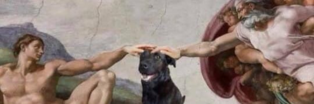 T_Taamy's profile banner image