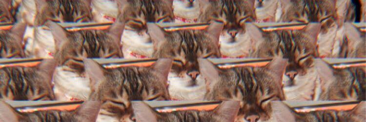 KariChibi_'s profile banner image