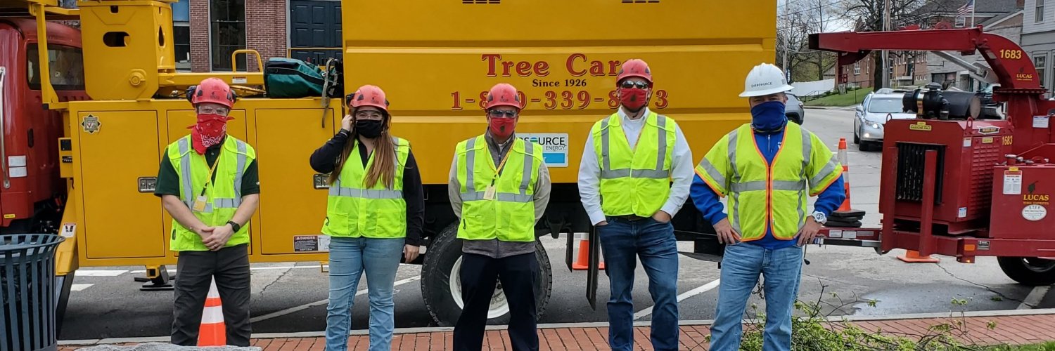 Lucas Tree Experts banner