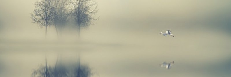 Ben Kuiken banner