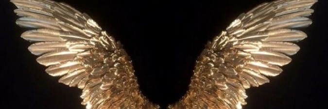 linavalesa's profile banner image