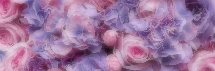 CarrionAlmendra's profile banner image