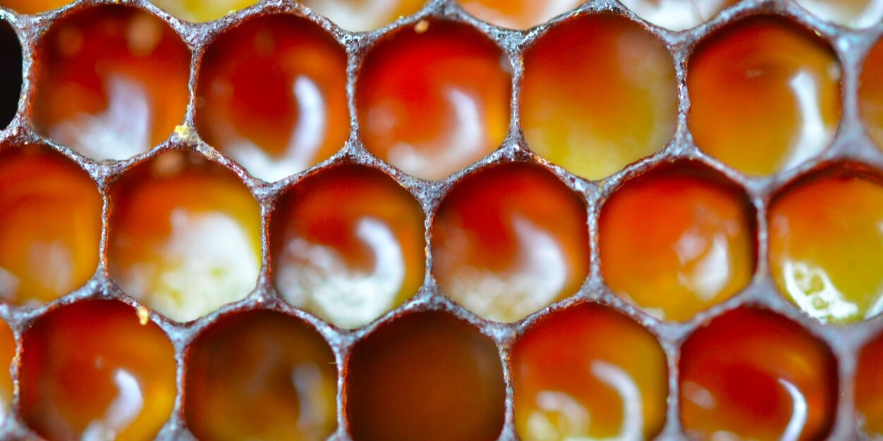 VTBees's profile banner image