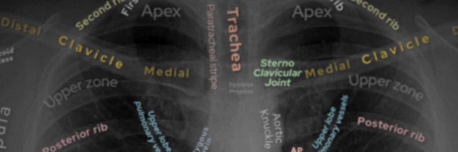 theRadiologist's banner