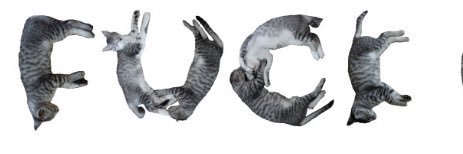 gloob⊹.✮₊⋆'s banner