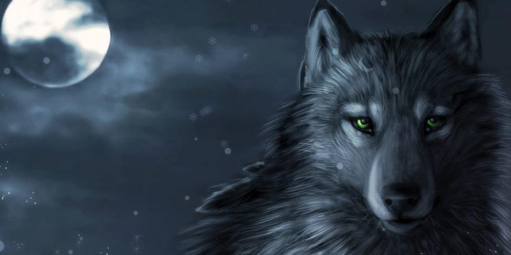 DurwinV's profile banner image