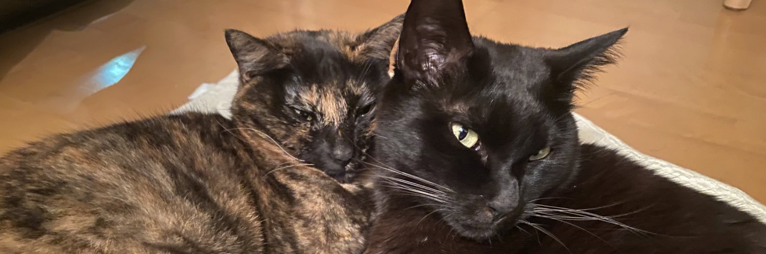 周の作です。 banner