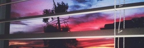 chellenicolee19's profile banner image