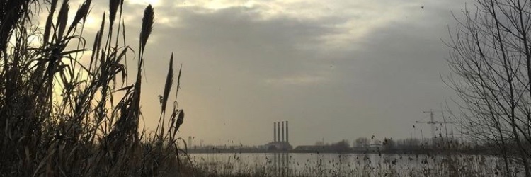 B13Sha's profile banner image