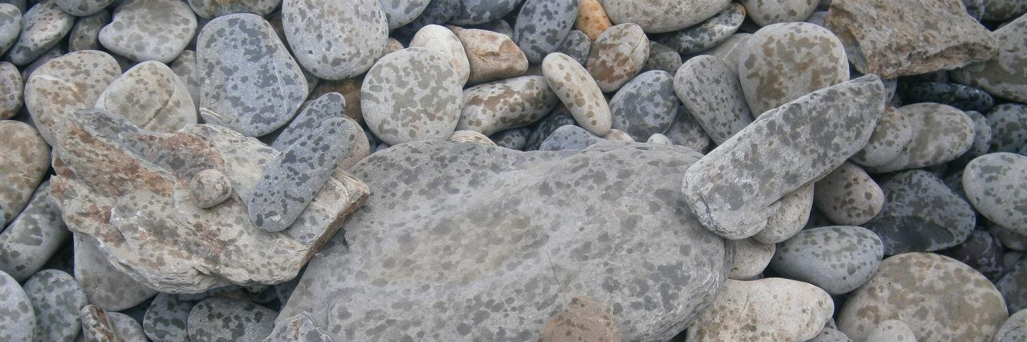 Fiona Richmond banner