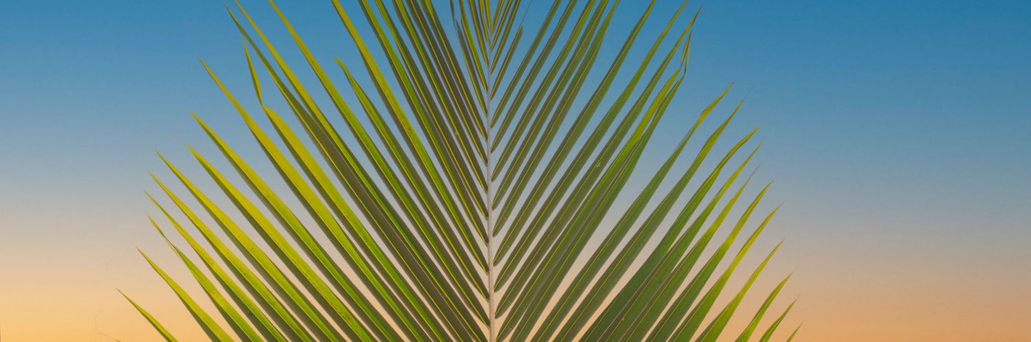 Alexandre Gantin banner