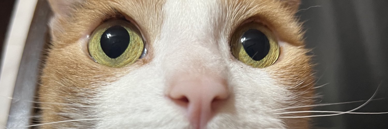 giuliabigaill's profile banner image