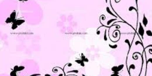 Maria_jose_corc's profile banner image