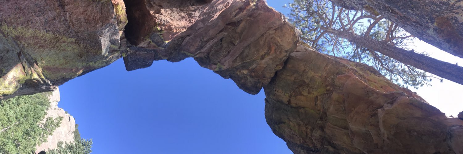 cathymedee's profile banner image