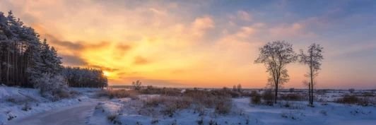 GilchristTraci's profile banner image