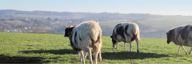 DunmoreFarm's profile banner image