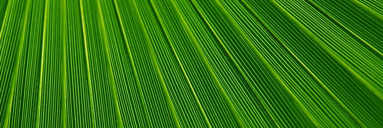 Greenlab idea banner