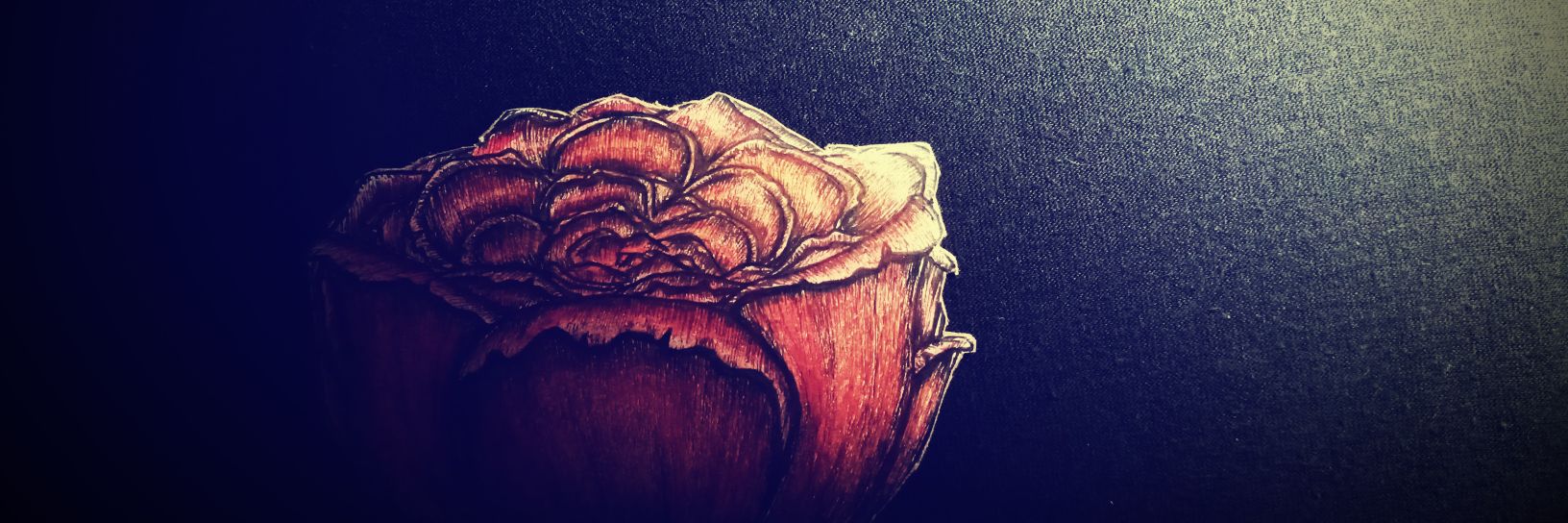 dg_dmtll's profile banner image
