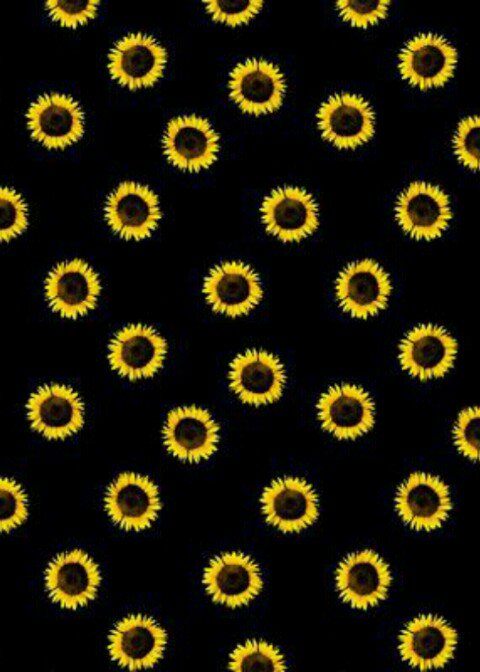 Marialedzz's profile banner image